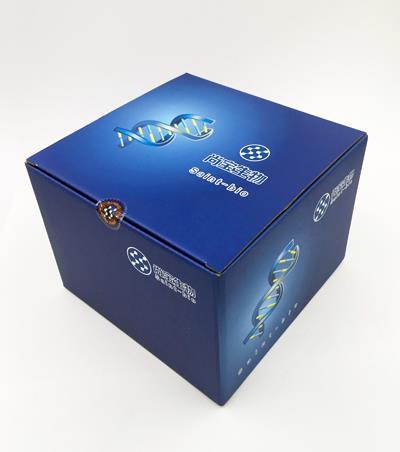 6×蛋白 Loading Buffer