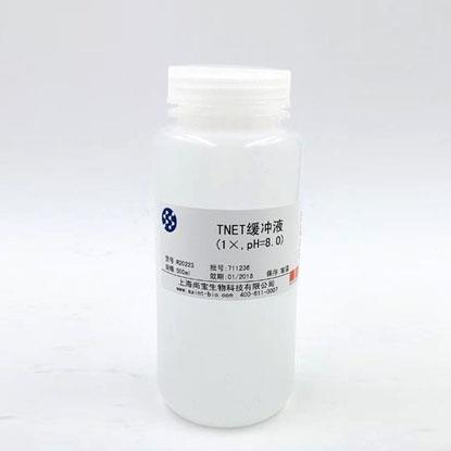 Tris鎂鹽緩沖液（1×，pH=7.8）