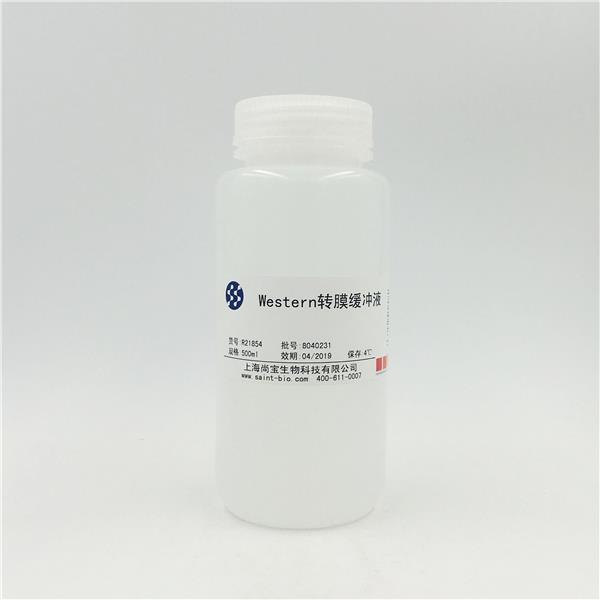 Western轉(zhuǎn)膜緩沖液