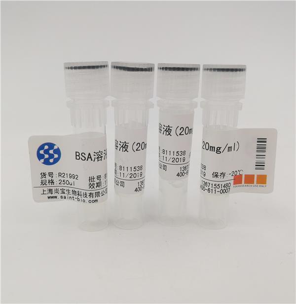 BSA溶液（20mg/ml）