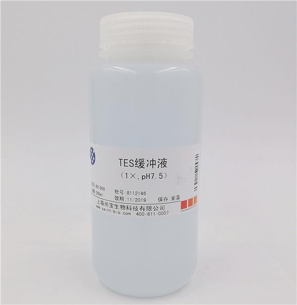 TES緩沖液（1×,pH=7.5）