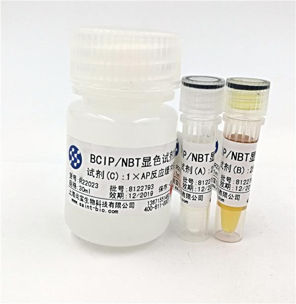 BCIP/NBT顯色試劑盒
