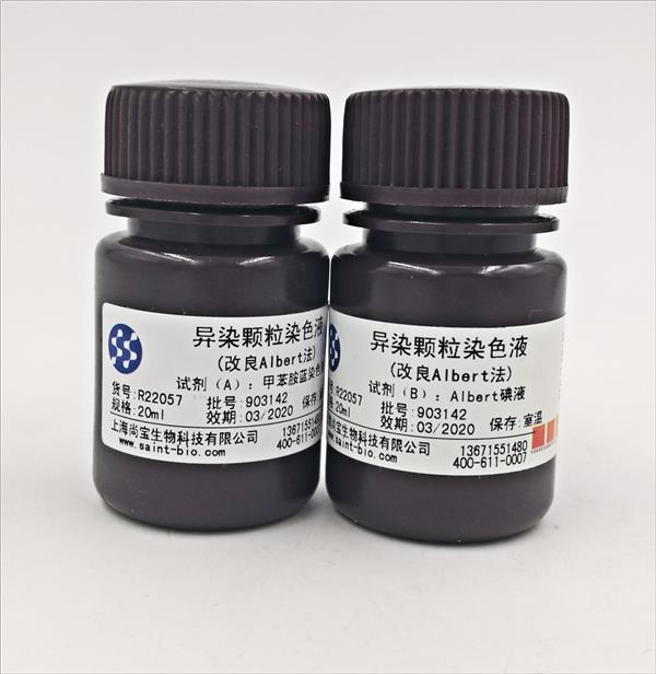 異染顆粒染色液（改良Albert法）