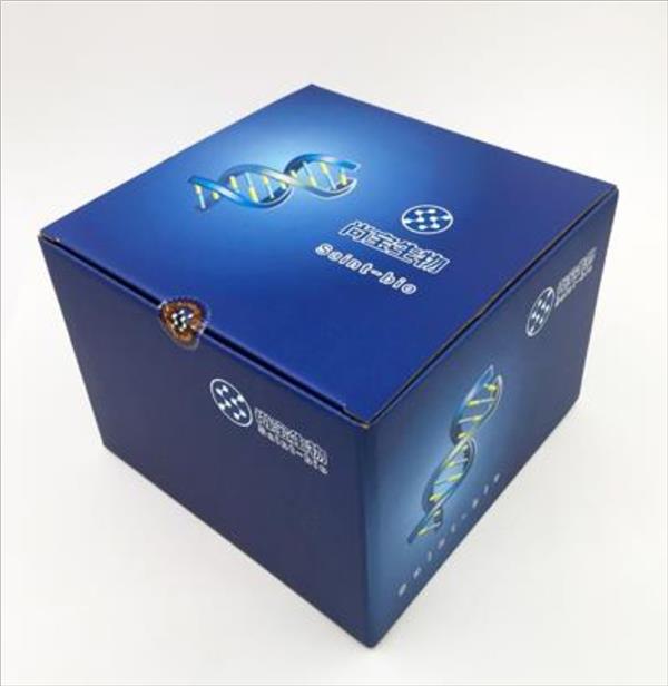 考馬斯亮藍快速染色液