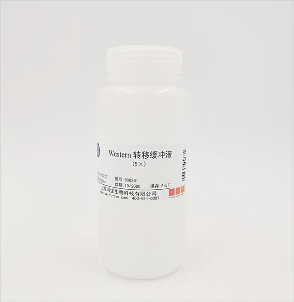 Western轉移緩沖液（5×）