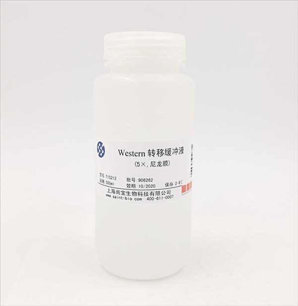 Western轉移緩沖液（5×，尼龍膜）